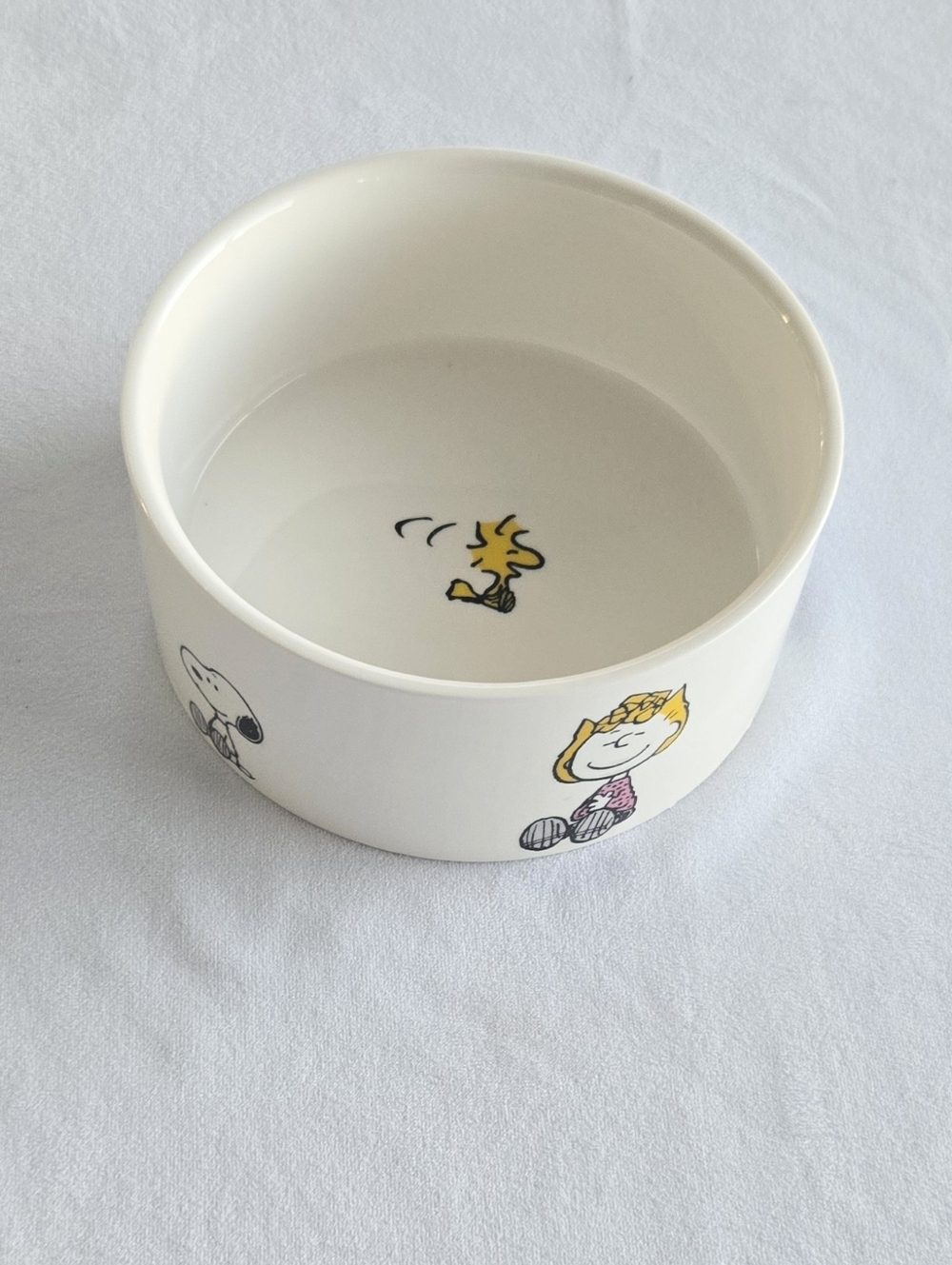 Peanuts Gang Pet Food Bowl Snoopy Linus Charlie Brown Novelty